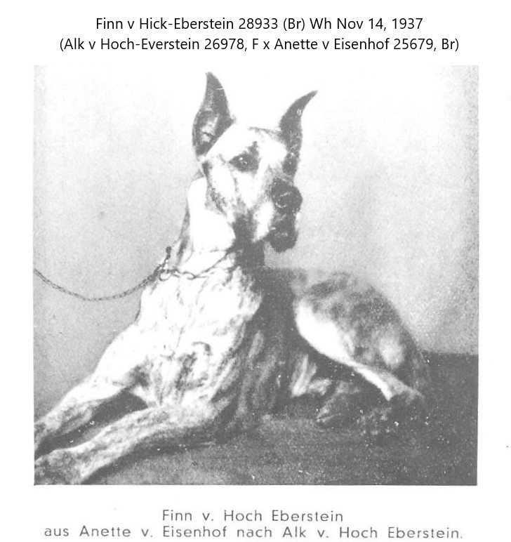 Finn v Hoch-Eberstein